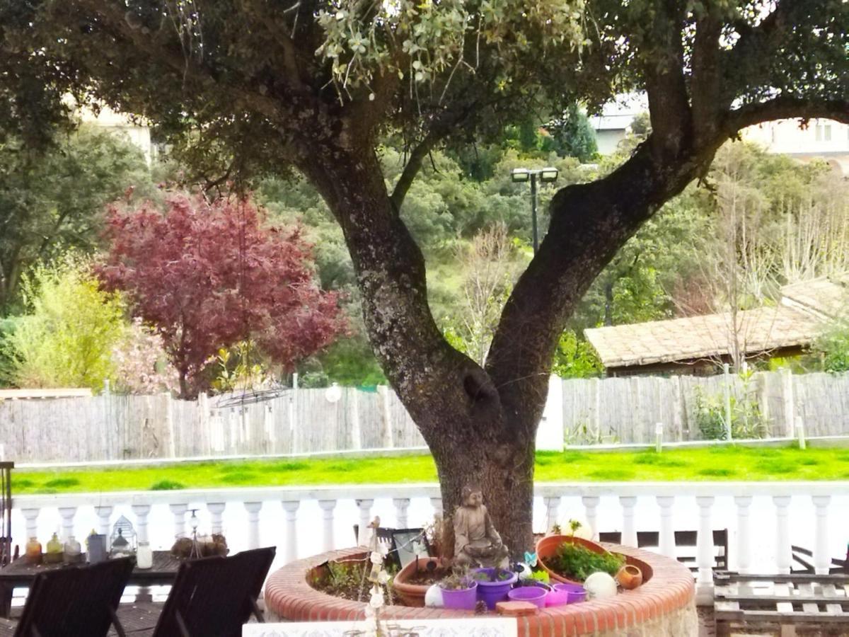 Lovely Home Nearby Madrid To Enjoy Nature Villaviciosa de Odón Exteriér fotografie